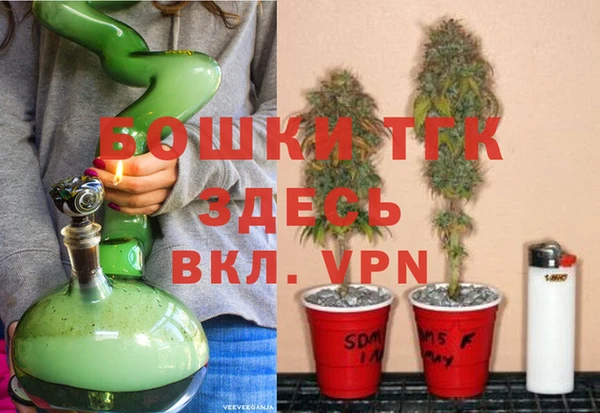 дмт Белокуриха