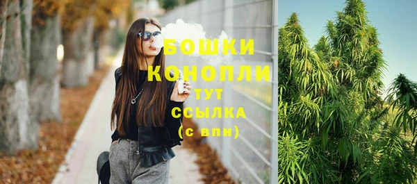 дмт Белокуриха